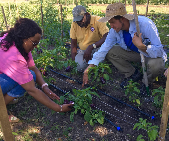 Justin Myers gives visiting farmers a hands-on tour of Hope Farms. (Photo © Recipe for Success Foundation.)