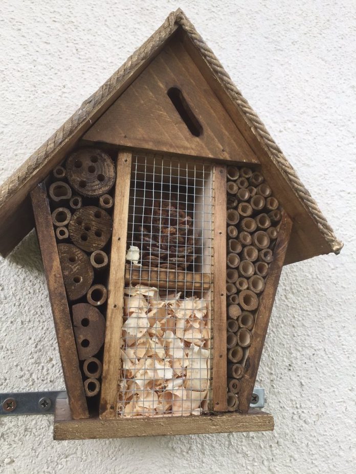 Donnybrook Buzz Shelter is taking it’s Bees very seriously – All ...