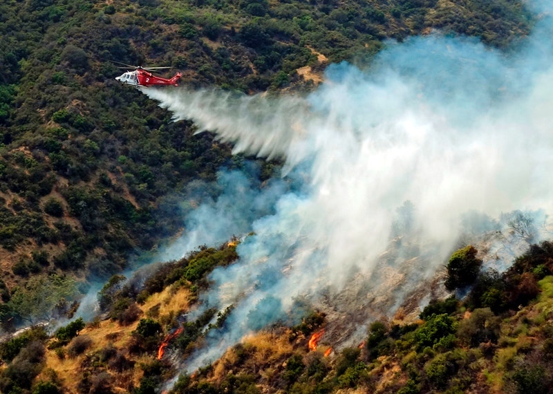 What a wet winter means for future of wildfire season. | Climate Change