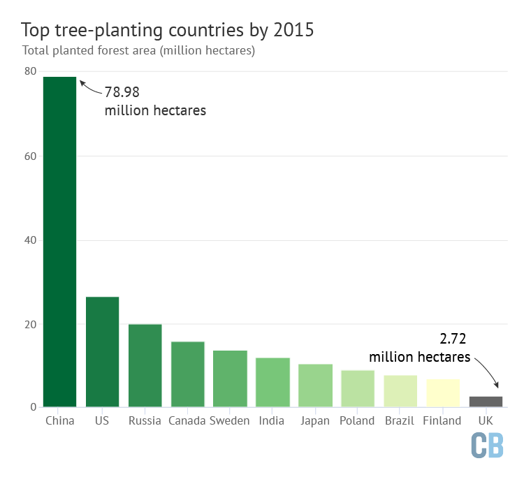 Indepth Q&A How will tree planting help the UK meet its climate goals