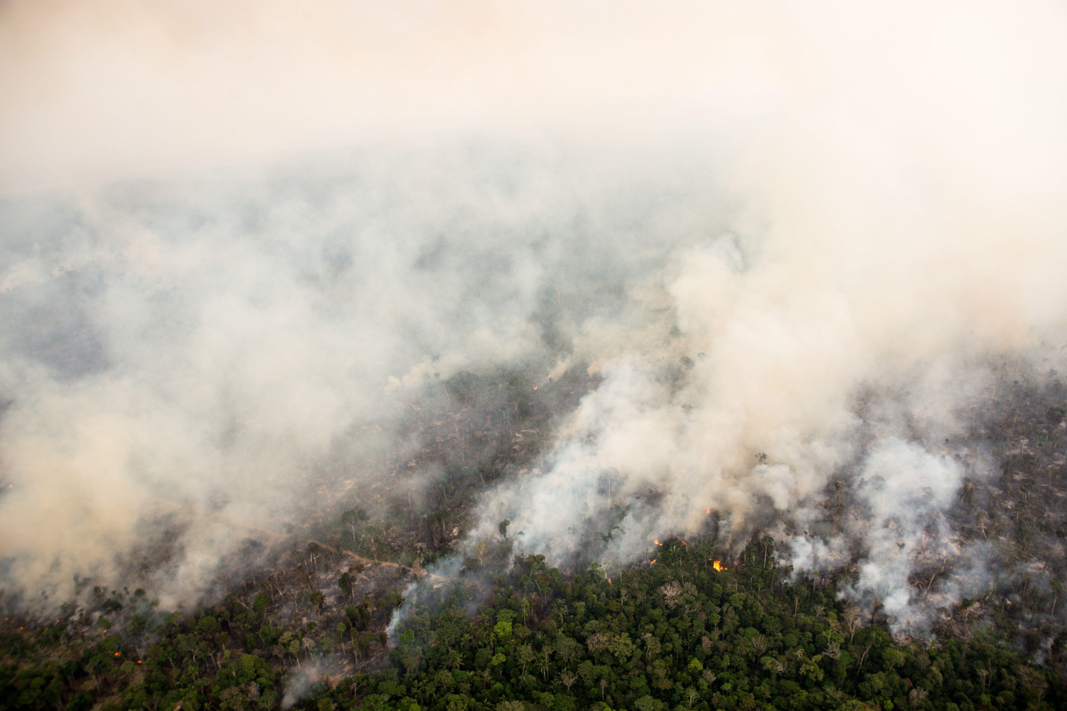 Explainer: How Climate Change Is Affecting Wildfires Around The World ...